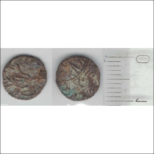 Romerskt(?) mynt troligen från Probus