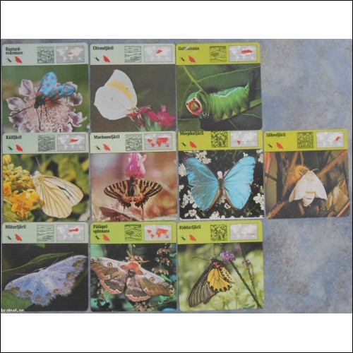 10 st kort Editions Rencontre; fjärilar
