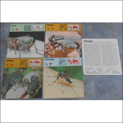 5 st kort (4 olika) Editions Rencontre; flugor, myggor