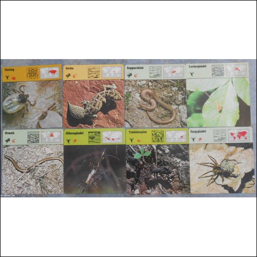 8 st kort Editions Rencontre; spindeldjur, ödlor, skorpioner