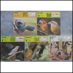 5 st kort Editions Rencontre; fåglar