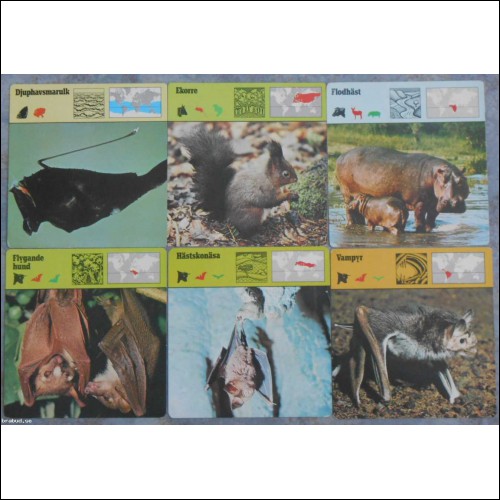 6 st kort Editions Rencontre; fiskar, fladdermöss, däggdjur