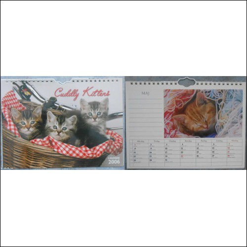 Kalender: Cuddly Kittens 2006