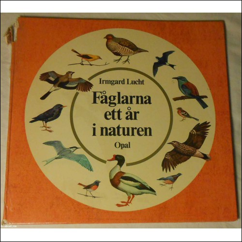 Fåglarna ett år i naturen av Irmgard Lucht