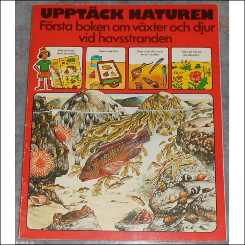 Upptäck Naturen - Första boken om växter och djur vid havsstranden; från 70-talet
