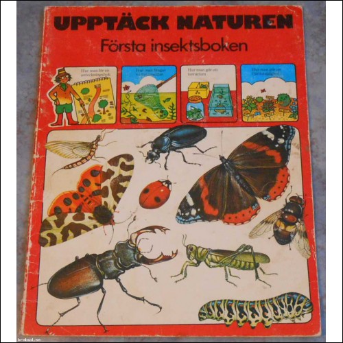 Upptäck Naturen - Första insektsboken; från 70-talet