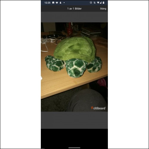 Sköldpadda